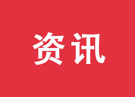 江西省新余市税务局稽查局依法查处一起利用软件企业税收优惠政策虚开增值税专用发票案件